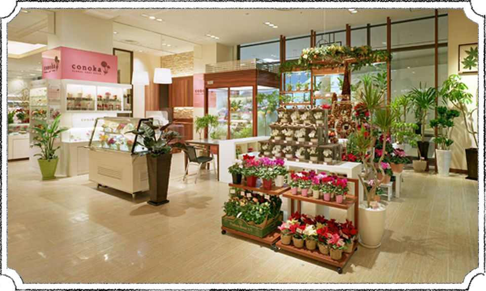 尼崎でおすすめのお花屋さんはココ 自宅用もプレゼントも Pathee パシー